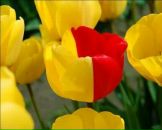 Фотография Мальшуковой Натальи