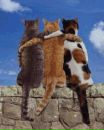 Іра Скочеляс фотография #16 (источник - https://vk.com/id90426408)