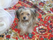 Иван Андреев фотография #48 (источник - https://vk.com/id2534545)