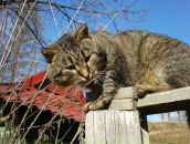 Вадим Арістов фотография #14 (источник - https://vk.com/id6874585)