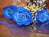 Фотография Прокопьевой Валентины