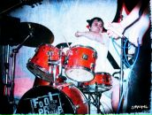 Фотография Сосны Стасона