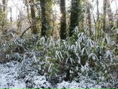 Андрій Пасічник фотография #42 (источник - https://vk.com/id7692358)