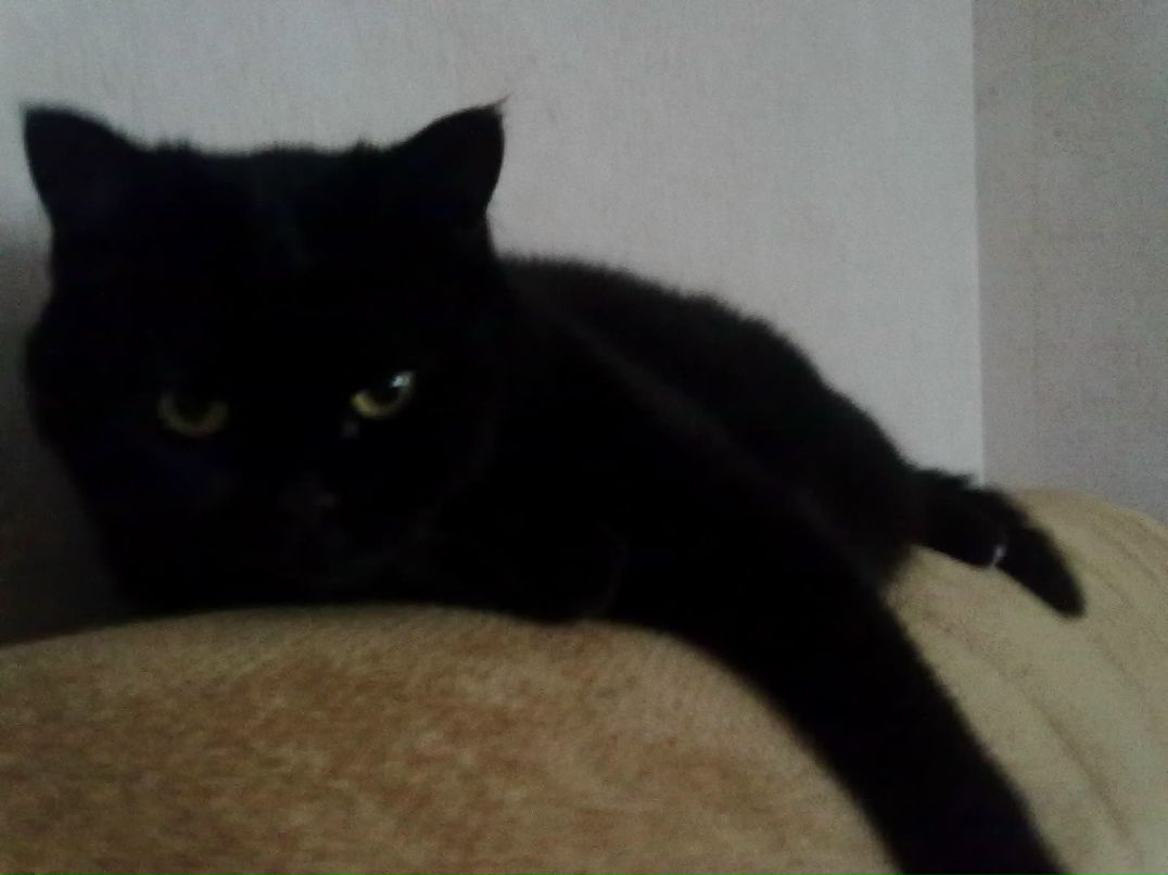 Сергей Деев фотография #6