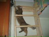 Дашка Модова фотография #34 (источник - https://vk.com/id2251602)