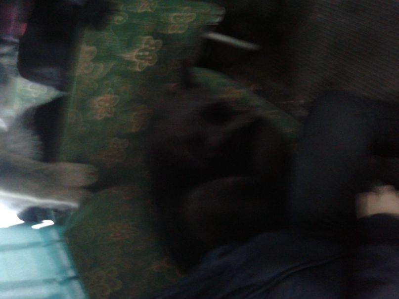 Андрей Софронов фотография #24