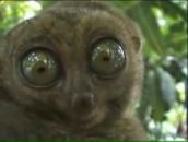 Фотография Пахомовой Людмилы