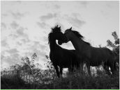 Фотография Миненковой Екатерины