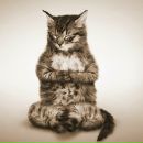 Фотография Алтайской Агнии