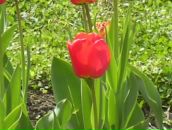 Фотография Гореликова Максима