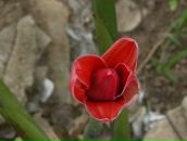 Амир Заев фотография #4 (источник - https://vk.com/id564628)