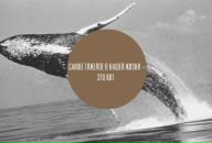 Настя Семененко фотография #10 (источник - https://vk.com/id138864)