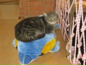 Фотография Ваниной Оксаны