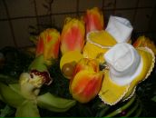 Фотография Лобанкиной Екатерины