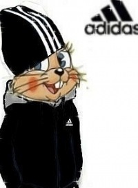 №4, Влад Рахманько №4, Влад Рахманько