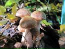 Фотография Зотовой Надежды