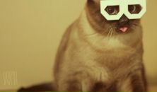 Фотография Доброхотов Антон