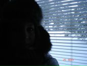 Фотография Богдановой Елены