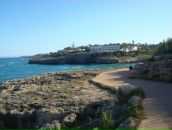 Фотография Dranytcina Olya