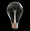 Фотография * *meetireal