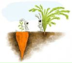 Роман Свиріпа фотография #44 (источник - https://vk.com/id61720432)