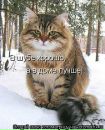 Деніс Сухина фотография #22 (источник - https://vk.com/id151531758)