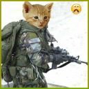 Деніс Сухина фотография #24 (источник - https://vk.com/id151531758)