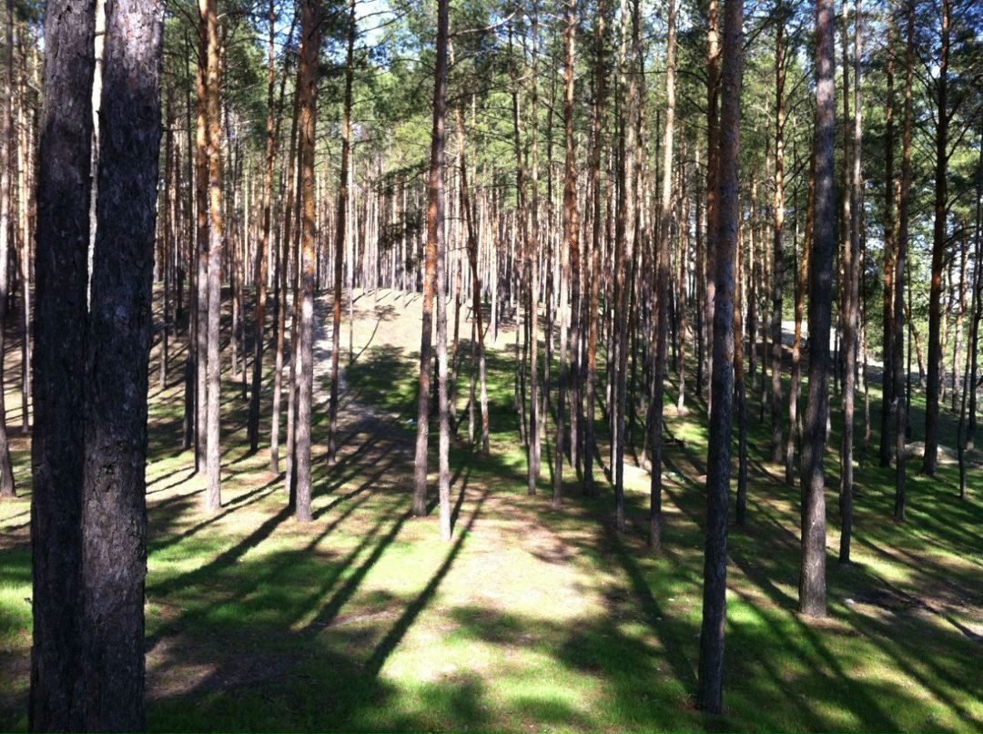 Александр Елетин фотография #12