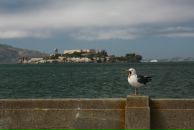 Сергей Сергей фотография #19 (источник - https://vk.com/id582882)