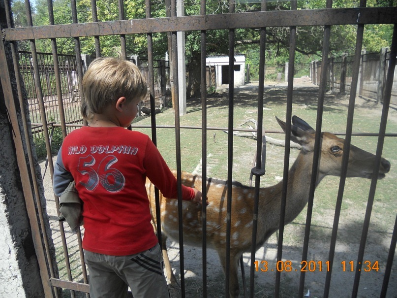 Ярослав Рылов фотография #43