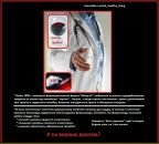 Дмитрий Гладилов фотография #12 (источник - https://vk.com/id2854963)