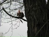 Микола Пасічник фотография #38 (источник - https://vk.com/id6477631)