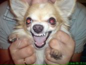 Фотография Ларичева Сани