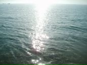 Фотография Светланы Svetochka