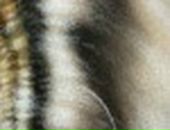 Олександр Андрієнко фотография #40 (источник - https://vk.com/id23256022)