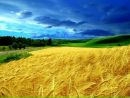 Аліса Лазарюк фотография #18 (источник - https://vk.com/id102184509)