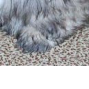 Валік Бойко фотография #46 (источник - https://vk.com/id138215938)