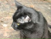 Фотография Абрамичева Андрея