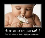 Фотография Мочалин Юрий