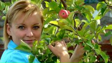 Фотография Дракуновой Елены