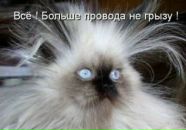 Дмитрий Недбайло фотография #30 (источник - https://vk.com/id1300758)