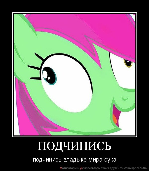 Splash Drink фотография #36