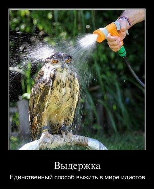 Саша Олейник фото №11