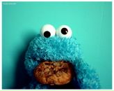 Фотография Власовой Александры