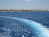 Віка Петрів фотография #13 (источник - https://vk.com/id44594946)