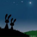 Фотография Андреевой Марии