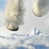 Іван Шпеник фотография #27 (источник - https://vk.com/id142746931)