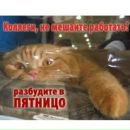 Віталіна Кальченко фотография #6 (источник - https://vk.com/id144253033)