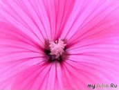 Фотография Владимировой Ольги