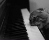 Фотография Котова Вадима
